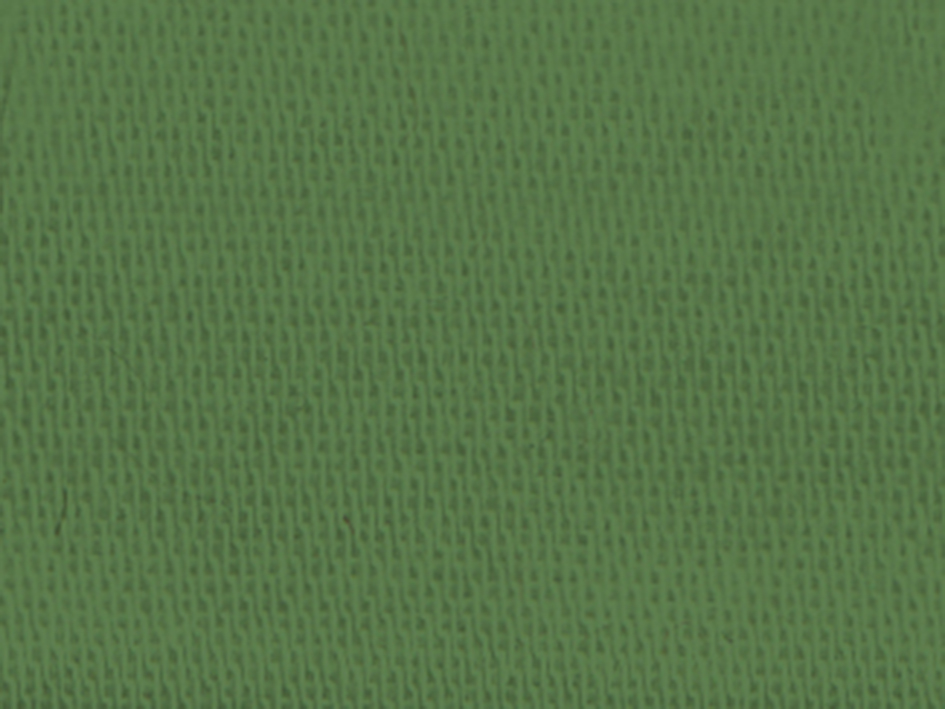 zoom colori SATIN CYRANO II M1 vert anglais, vert